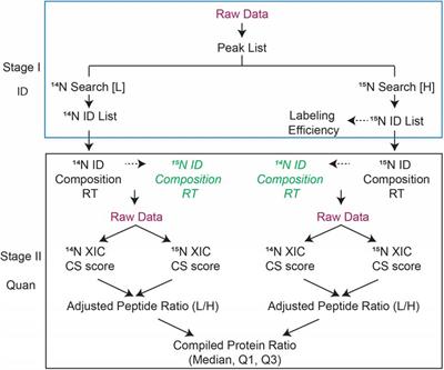 15N Metabolic Labeling Quantification Workflow in Arabidopsis Using Protein Prospector